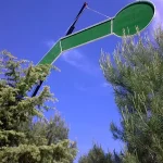 autodescarga-soriano-5